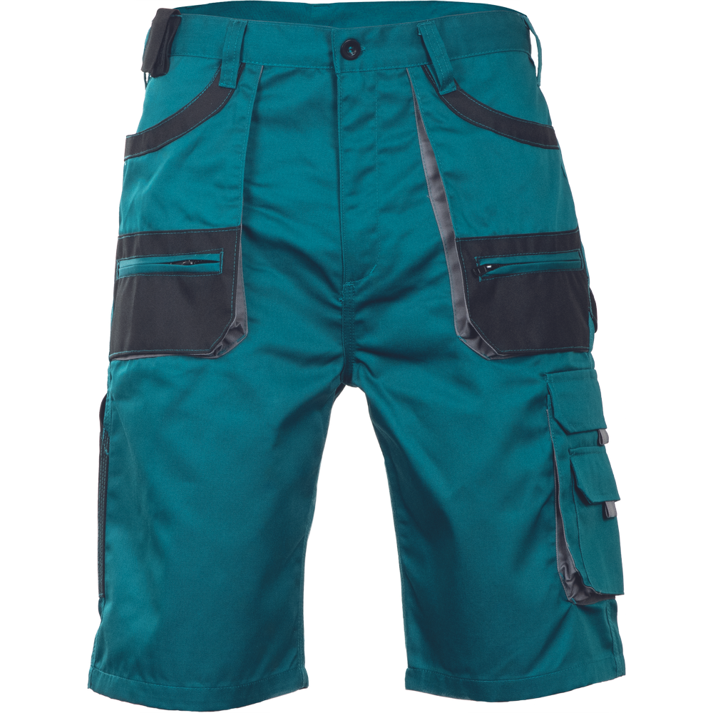 K-PSA FF CARL Shorts